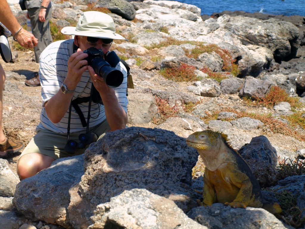 Posing-Land-Iguanas-1024x768