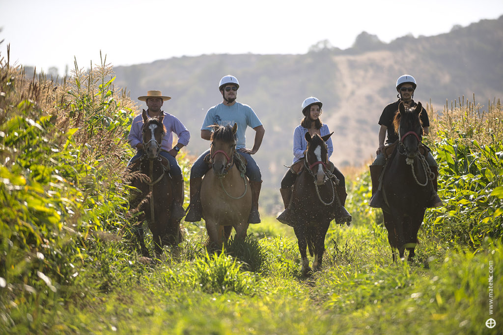 Matetoc-Horseback-riding-corn-1024x682